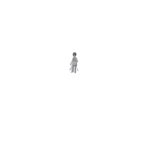 Brigadier