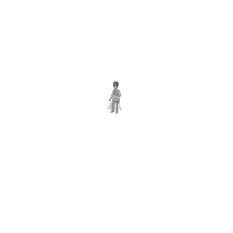 Brigadier